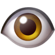 Our Vision Icon